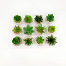 Artificial Decorative Plants