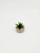 Artificial Decorative Plants