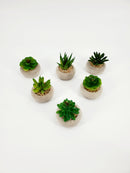 Artificial Decorative Plants