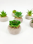 Artificial Decorative Plants