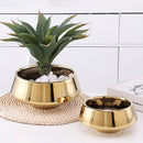 Nordic style golden flower pot