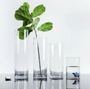 Simple Straight Tube Clear Glass Vase