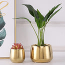 Nordic style golden flower pot