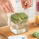 Double Layer  Food container