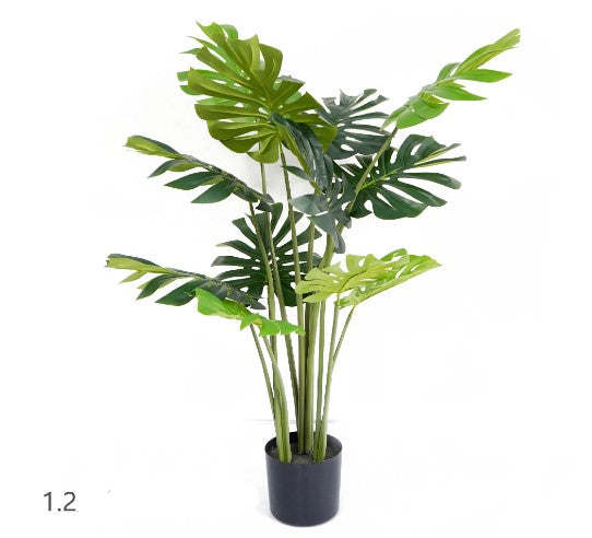 Simulation of potted turtle back tree
