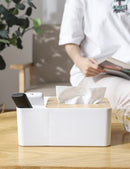 Living room tissue box