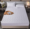 Mattress cover single piece cotton quilted  100x200cm