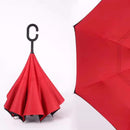 INVERTED UMBRELLA